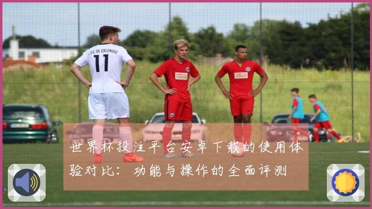 世界杯投注平台安卓下载的使用体验对比：功能与操作的全面评测