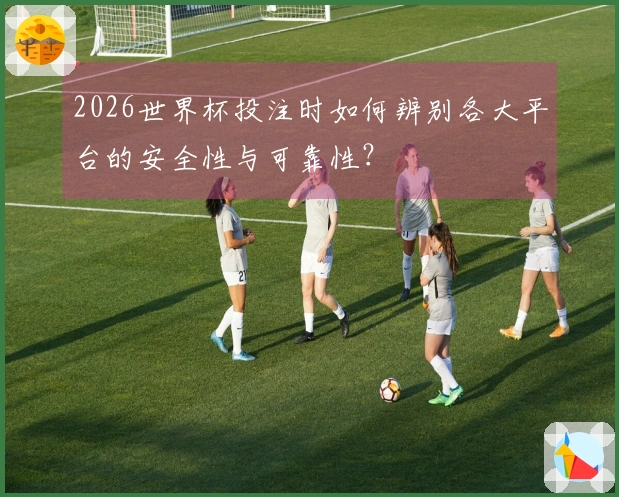 2026世界杯投注时如何辨别各大平台的安全性与可靠性？
