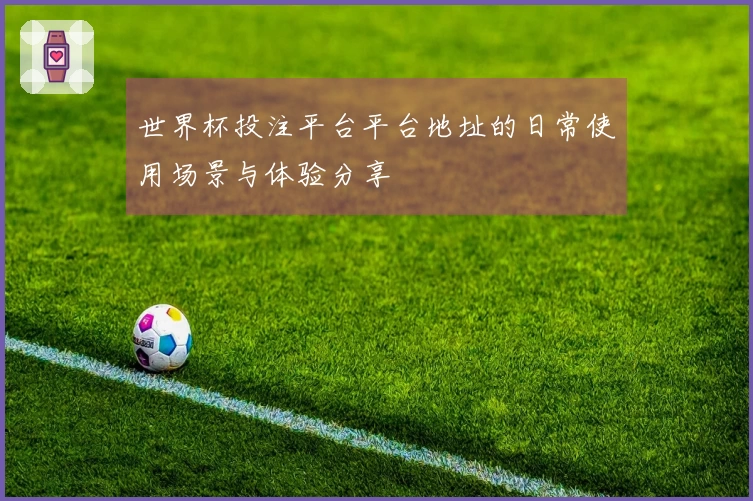 世界杯投注平台平台地址的日常使用场景与体验分享