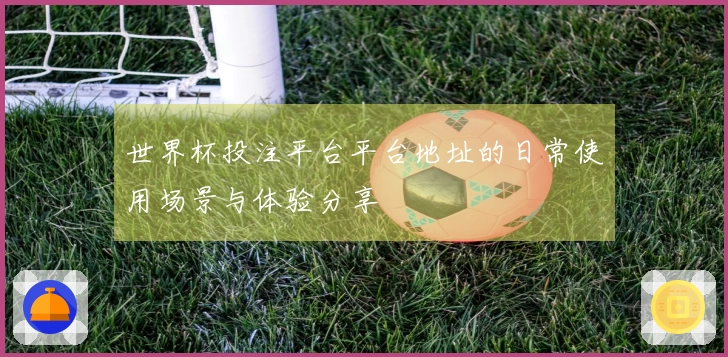 世界杯投注平台平台地址的日常使用场景与体验分享