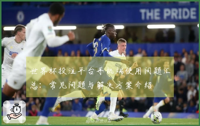 世界杯投注平台手机端使用问题汇总：常见问题与解决方案介绍