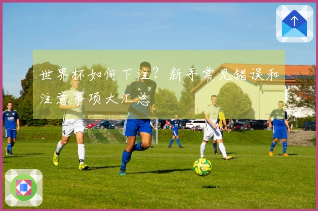 世界杯如何下注？新手常见错误和注意事项大汇总