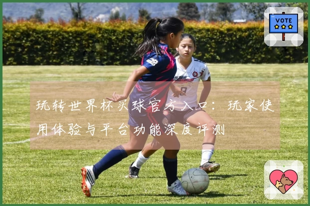 玩转世界杯买球官方入口：玩家使用体验与平台功能深度评测