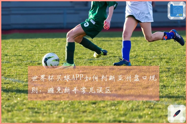 世界杯买球APP如何判断亚洲盘口规则，避免新手常见误区