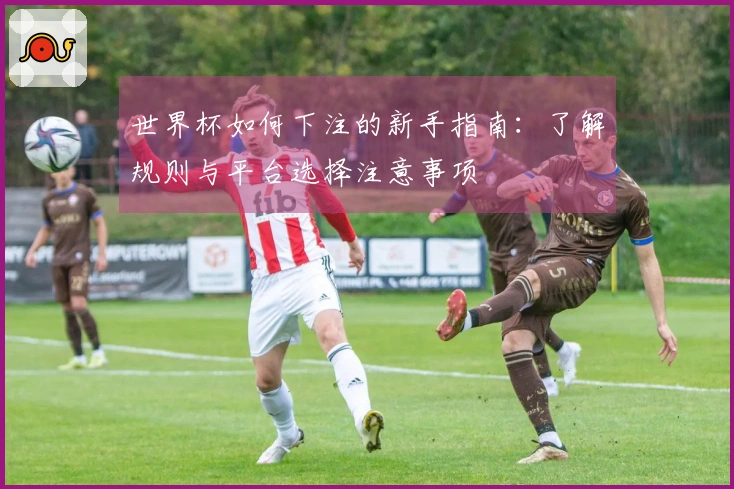 世界杯如何下注的新手指南:了解规则与平台选择注意事项