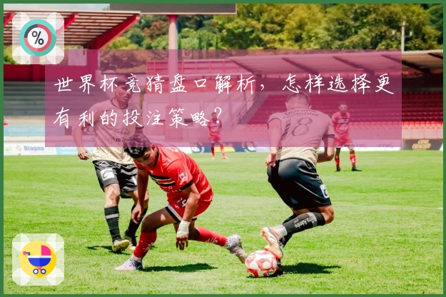 世界杯竞猜盘口解析，怎样选择更有利的投注策略？