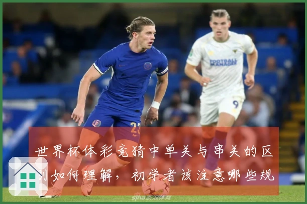 世界杯体彩竞猜中单关与串关的区别如何理解，初学者该注意哪些规则？