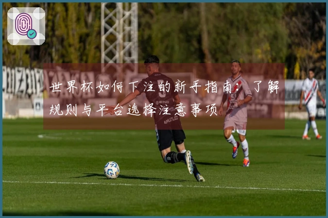 世界杯如何下注的新手指南：了解规则与平台选择注意事项
