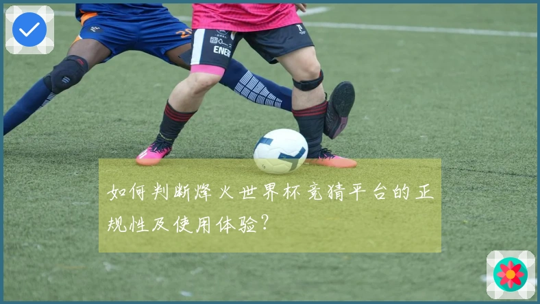 如何判断烽火世界杯竞猜平台的正规性及使用体验？