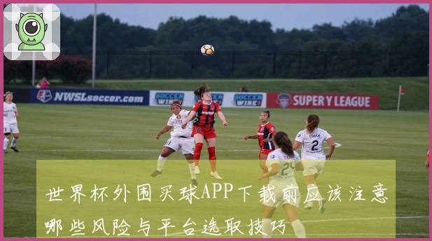 世界杯外围买球APP下载前应该注意哪些风险与平台选取技巧
