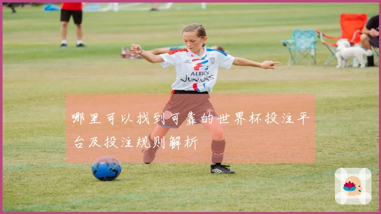 哪里可以找到可靠的世界杯投注平台及投注规则解析