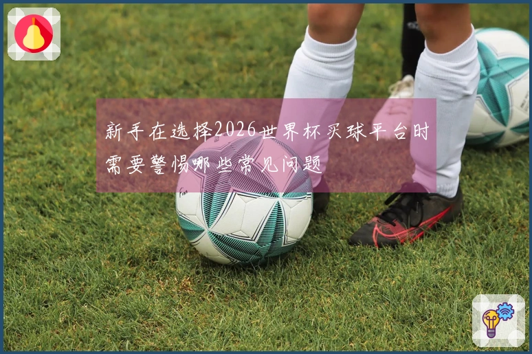 新手在选择2026世界杯买球平台时需要警惕哪些常见问题