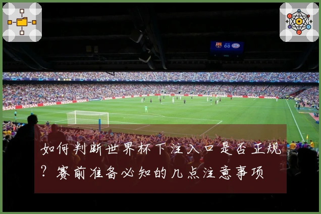 如何判断世界杯下注入口是否正规？赛前准备必知的几点注意事项