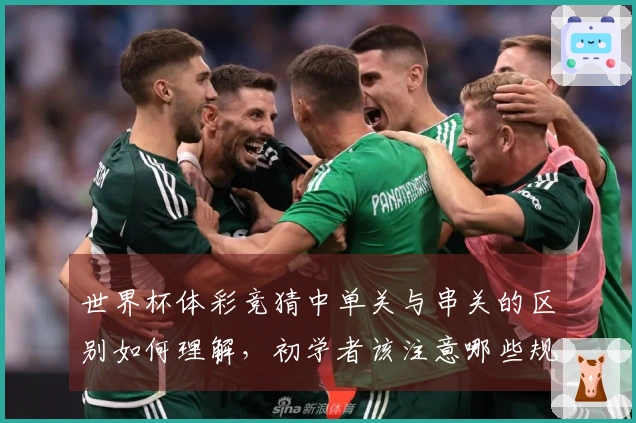 世界杯体彩竞猜中单关与串关的区别如何理解，初学者该注意哪些规则？