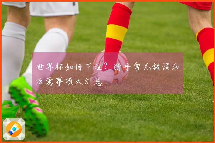 世界杯如何下注？新手常见错误和注意事项大汇总