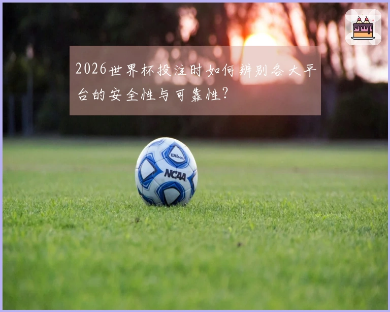 2026世界杯投注时如何辨别各大平台的安全性与可靠性？