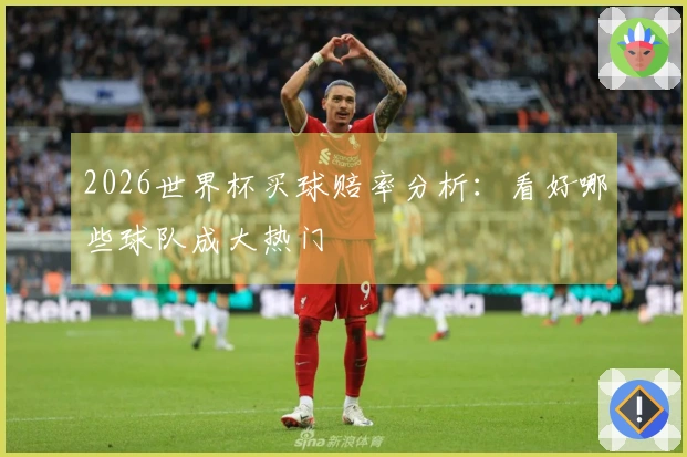 2026世界杯买球赔率分析：看好哪些球队成大热门