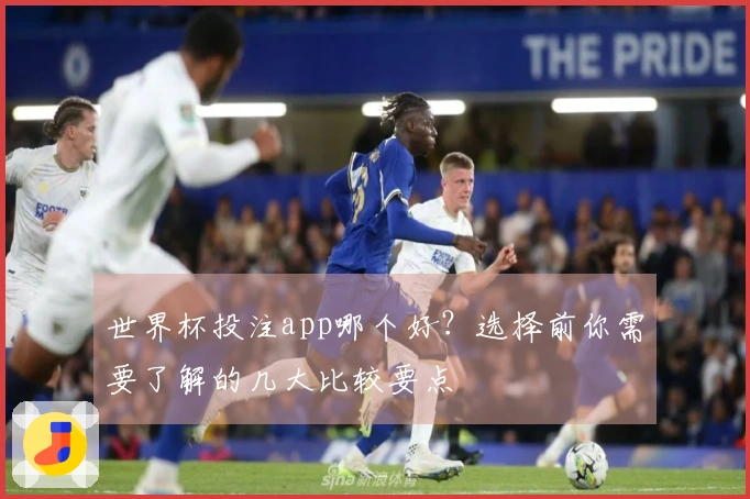 世界杯投注app哪个好？选择前你需要了解的几大比较要点