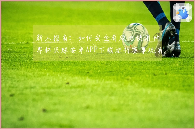 新人指南：如何安全有效地使用世界杯买球安卓APP下载进行赛事观看与互动