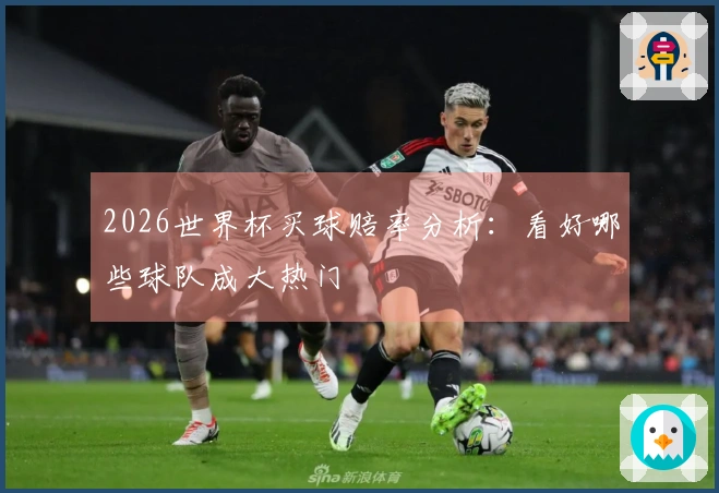 2026世界杯买球赔率分析：看好哪些球队成大热门